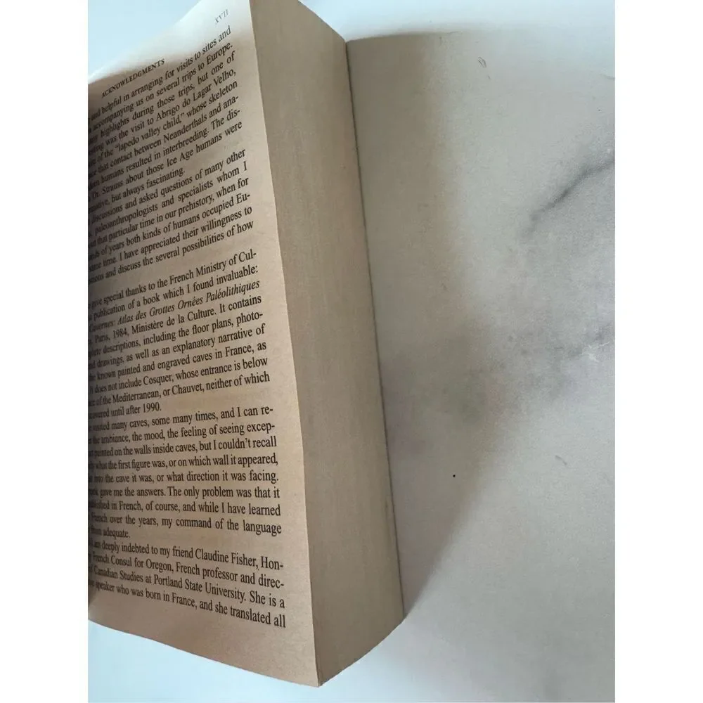 The Land of Painted Caves historical fiction book Earths Children Zelandonii wil